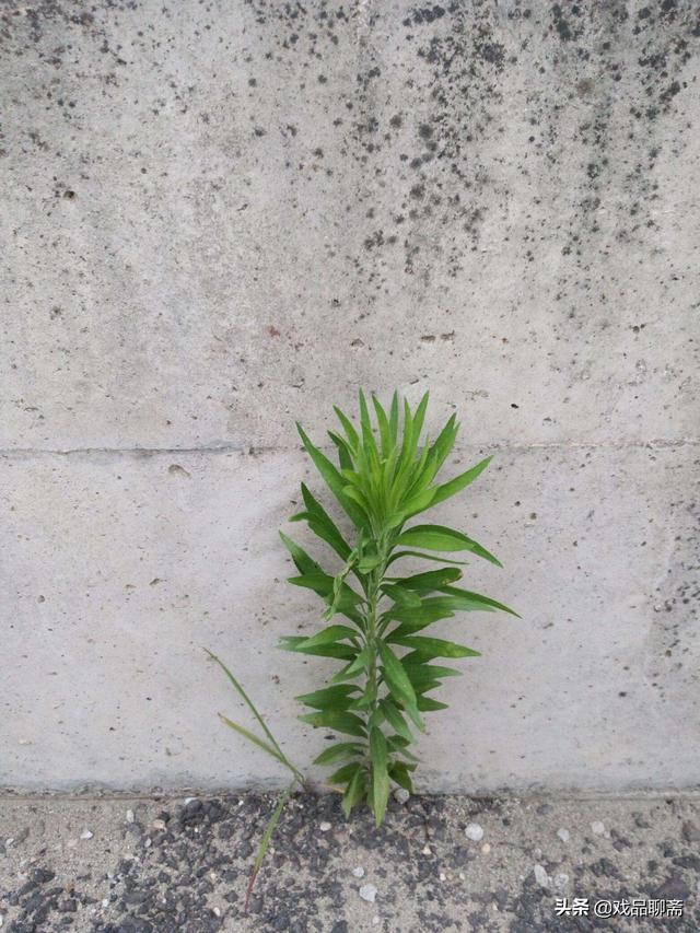 南京江宁一出租屋内一对年轻男女身亡，那是怎么回事？