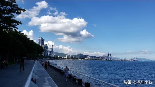 深圳打卡的好处所，求保举？