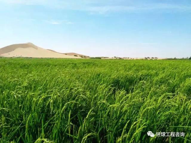 中国农业：将来都有哪些新型的农业种植手艺？