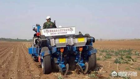 免耕机种玉米，产量若何？什么牌子好？
