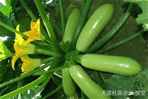 陈述：发现一个有趣的北京休闲度假小镇[已扎口]