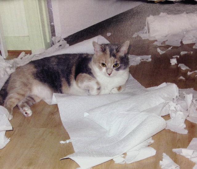 抽纸哪个牌子的好？