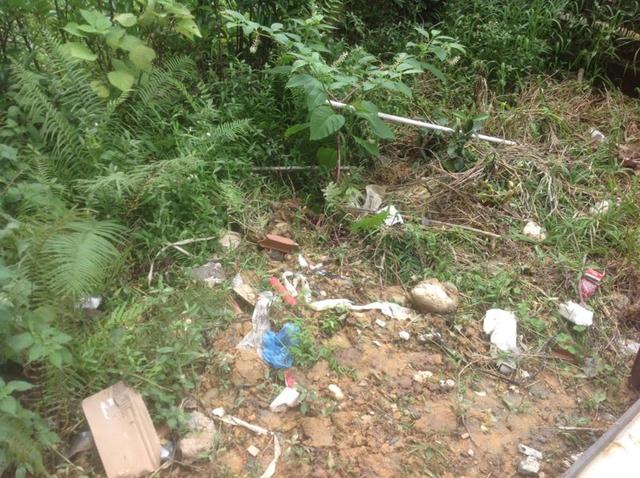 家里的天井如何粉饰比力都雅？能够放照片各人一路看看吗？