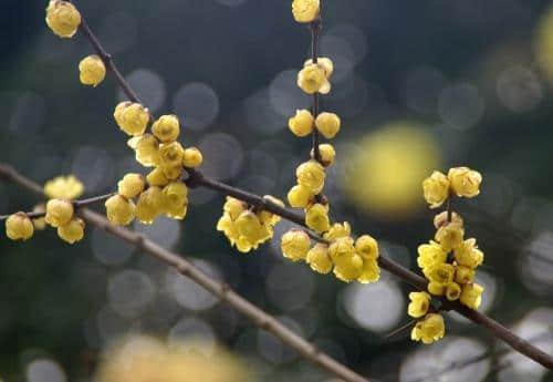 家里的天井如何粉饰比力都雅？能够放照片各人一路看看吗？