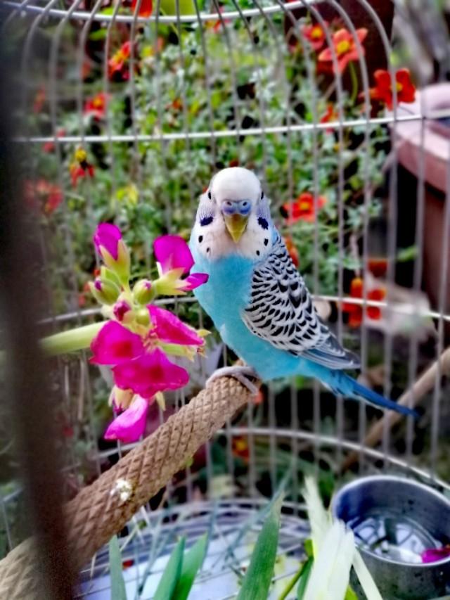 家里的天井如何粉饰比力都雅？能够放照片各人一路看看吗？