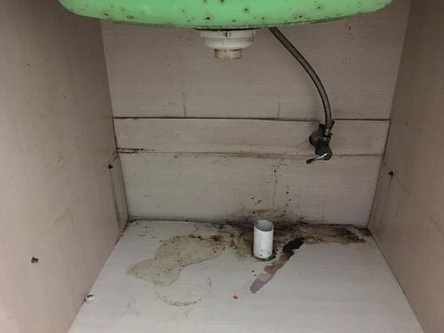 若何将独身公寓拆修成简约的气概呢？