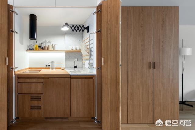 关于小户型独身公寓，如何设想能够很简约很温馨？求好的案例保举？