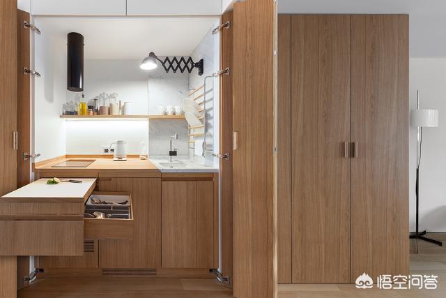 关于小户型独身公寓，如何设想能够很简约很温馨？求好的案例保举？