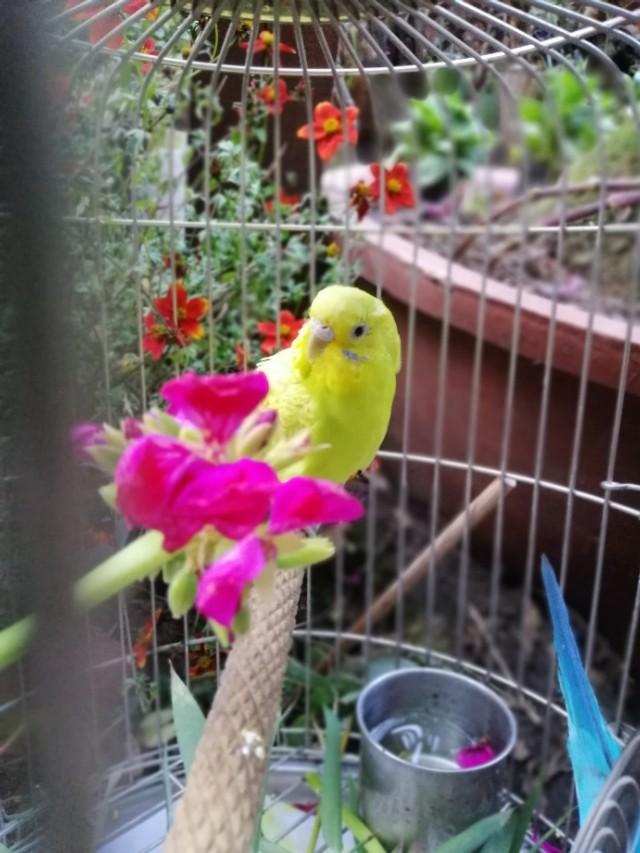 家里的天井如何粉饰比力都雅？能够放照片各人一路看看吗？