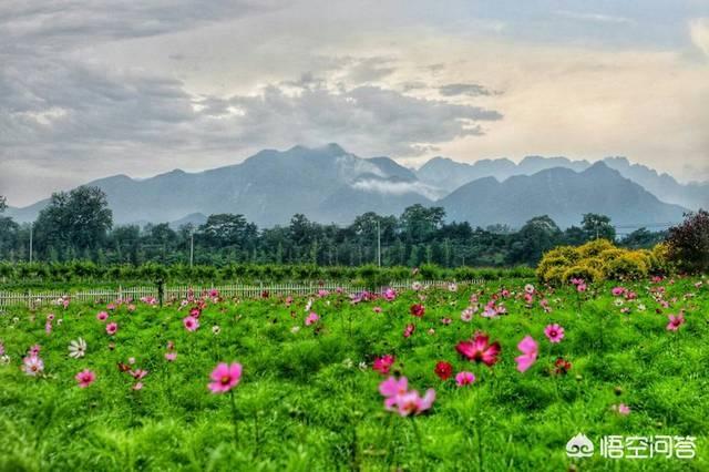 如今的那些除甲醛公司靠谱吗？