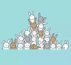 深圳的男女比例是几strong深圳十分男女/strong？