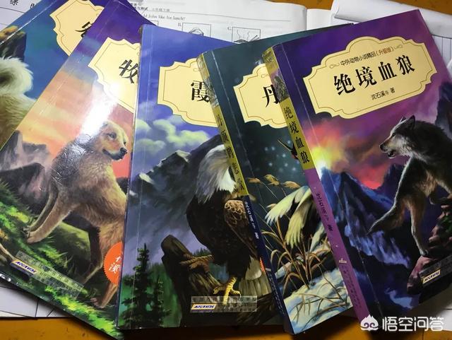 我家孩子小学一年级strong快乐米/strong，课外书只喜好看《米小圈上学记》，其他课外书一概不喜好看怎么办？