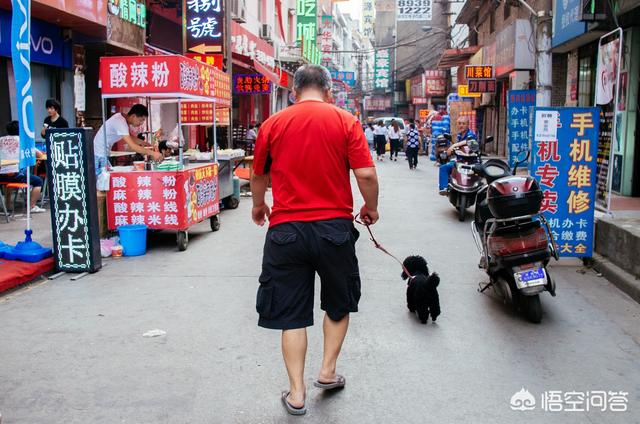 做为摄影喜好者strong尚城摄会/strong，你参与过摄协组织的各类（联谊、角逐）活动吗？你想参与吗？为什么？