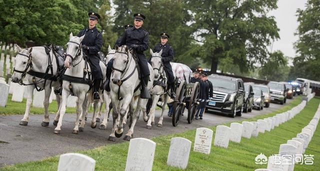 美国策动伊拉克战争牺牲了几strong弗兰克斯/strong？