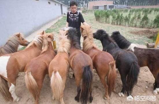 郭德纲夫妇送于谦宝马做为生日礼品strong莱德马业/strong，你怎么看？