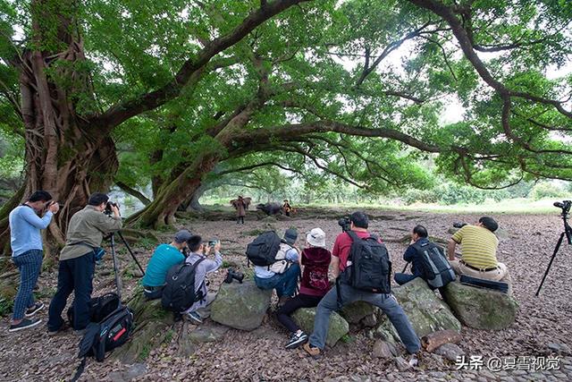 怎么对待如今的摄影协会摆拍现象strong尚城摄会/strong？