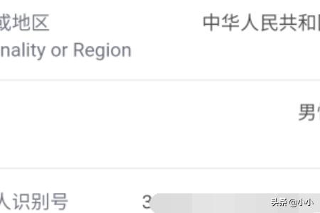 小我所得税APP在哪查询小我纳税识别名strong企业税号查询/strong，怎么查看？