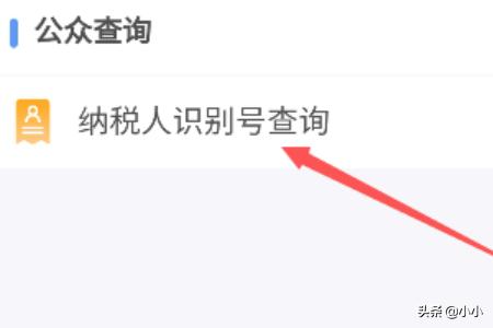 小我所得税APP在哪查询小我纳税识别名strong企业税号查询/strong，怎么查看？