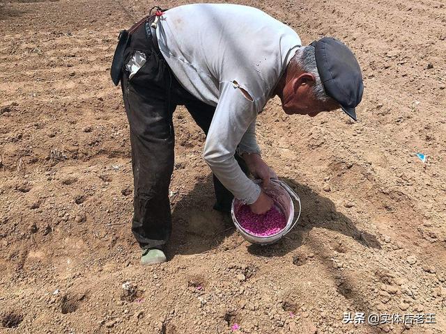 政协委员王学坤提出65岁以上农人洗脚上田，老有所养你怎么看？