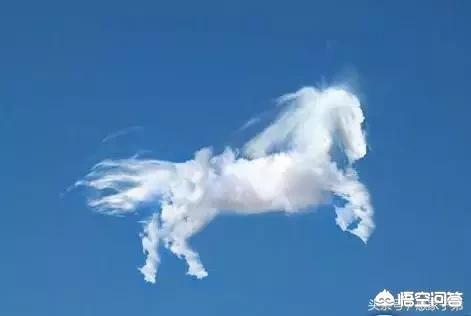 谈谈本身的创业履历？