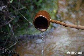 80后汉子喜好什么样的白酒strong宴酒坊/strong？