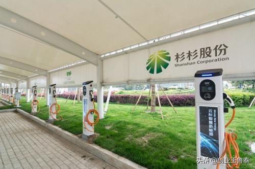 对彬彬股份将来的观点strong杉杉控股/strong？