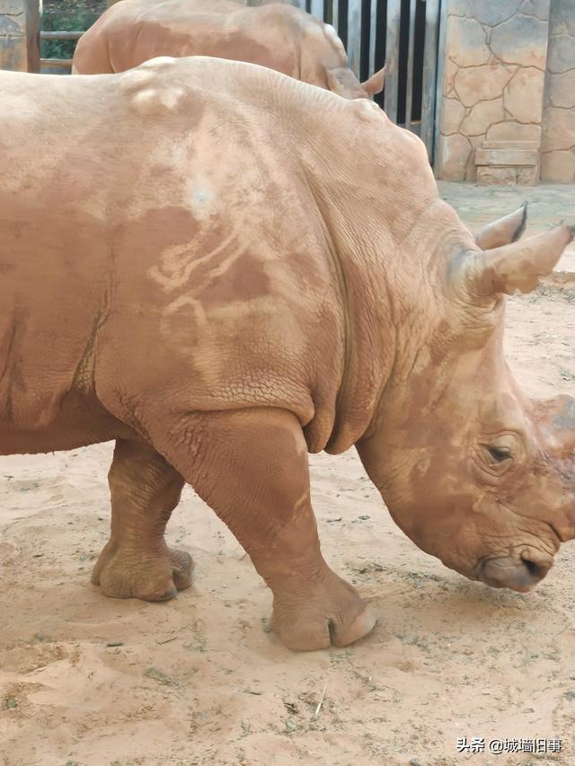 5G都能操做什么？