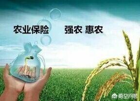 农人怎么给种的庄稼入保险strong安华农业保险股份有限公司/strong？