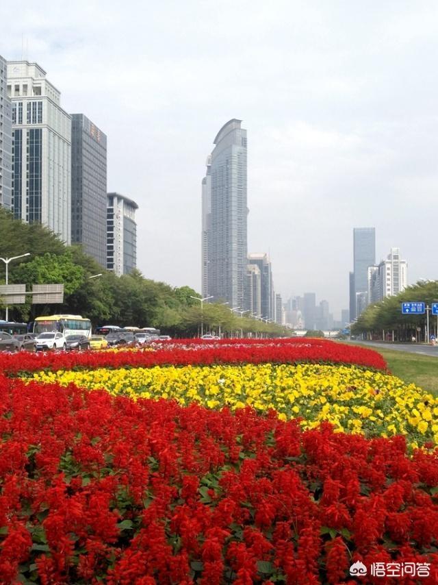 深圳strong深圳信步/strong，清明3天假合适去哪里玩，不想要人太多太累的？