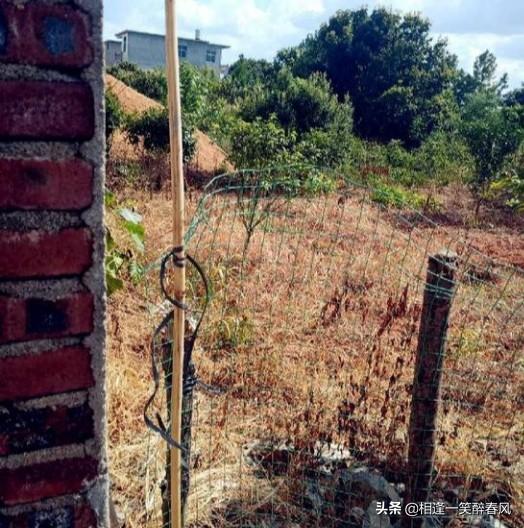 江西杀人犯曾春亮为什么会选择康家偷盗strong卞敬国/strong？