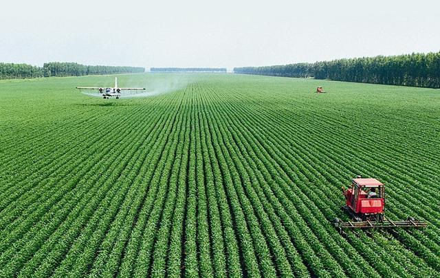 哈尔滨有哪些出名企业strong锦州港股份有限公司/strong？