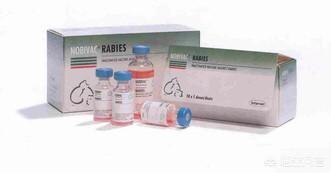 英特威犬用疫苗为什么有两种strong英特威/strong？