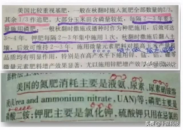 亩产2400斤的玉米是什么品种<strong>中视丰德</strong>，玉米用复合肥好还是用二铵好？