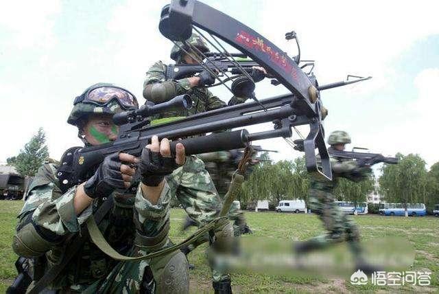 中国警察队伍<strong>天弩</strong>，使用的弓弩价格，为何比95式步枪还昂贵？