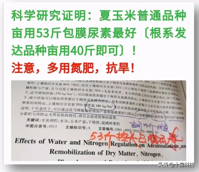 亩产2400斤的玉米是什么品种<strong>中视丰德</strong>，玉米用复合肥好还是用二铵好？