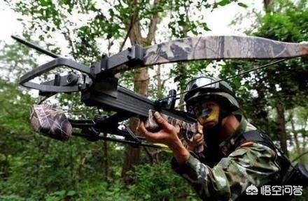 中国警察队伍<strong>天弩</strong>，使用的弓弩价格，为何比95式步枪还昂贵？