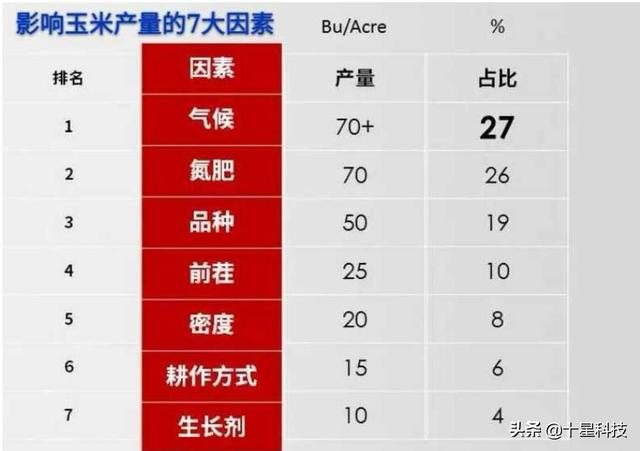 亩产2400斤的玉米是什么品种<strong>中视丰德</strong>，玉米用复合肥好还是用二铵好？