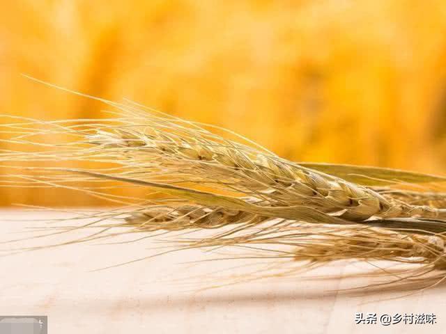 2020年小麦亩产有人1400斤<strong>中视丰德</strong>，有人500斤为何差异如此大？