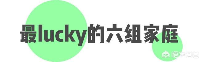 中国的广大人民群众集体霸占了GUCCI大片<strong>东方宾利模特公司</strong>，对此你怎么看？