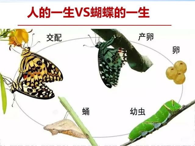 人快要临死之前是什么感觉<strong>胜科中国</strong>？