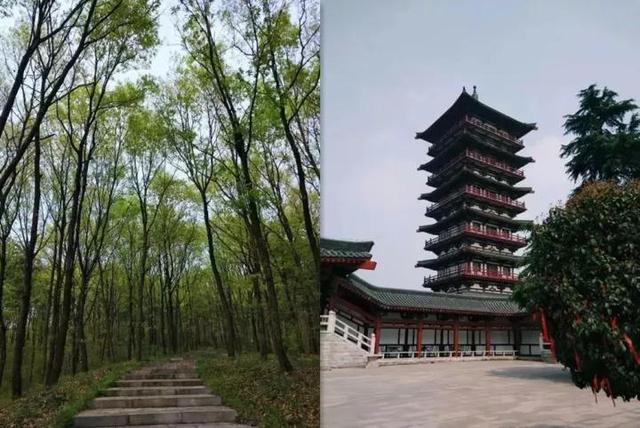 合肥哪里适合一日游<strong>徐山泉</strong>？