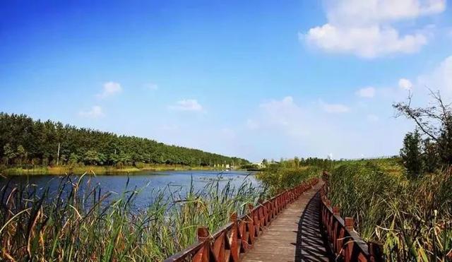 合肥哪里适合一日游<strong>徐山泉</strong>？