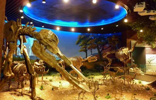 合肥哪里适合一日游<strong>徐山泉</strong>？