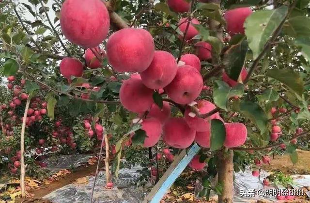 悲情的军工还有机会吗<strong>云简科技</strong>？