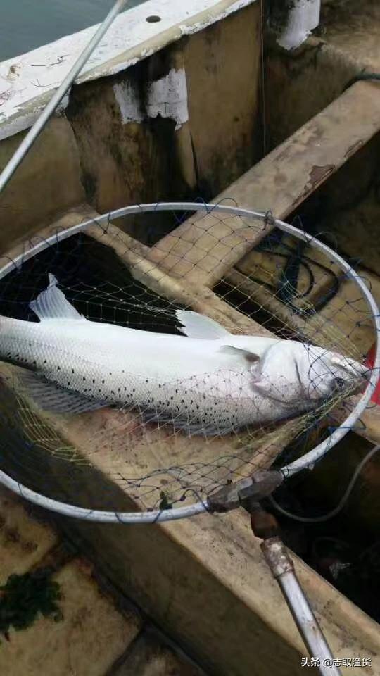 我是四川的特别喜欢钓鱼<strong>四川加海</strong>，但没玩过海钓，请问什么地方海钓最好？