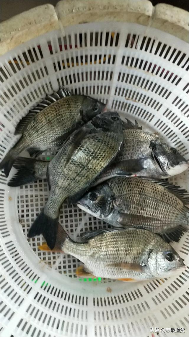 我是四川的特别喜欢钓鱼<strong>四川加海</strong>，但没玩过海钓，请问什么地方海钓最好？