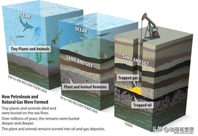 渤海湾发现亿吨级大油田<strong>中国海洋石油总公司</strong>，为什么渤海湾的石油储量这么高？