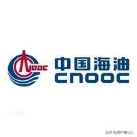 中海油是一家什么性质的单位<strong>中海油能源发展股份有限公司</strong>？