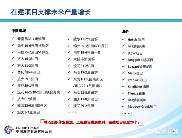 中国石油和中国海油有什么区别<strong>中海油能源发展股份有限公司</strong>？