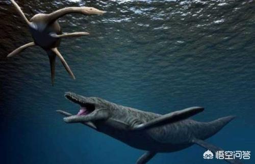 为什么陆地上恐龙那么大，而海里的反不及蓝鲸大呢？